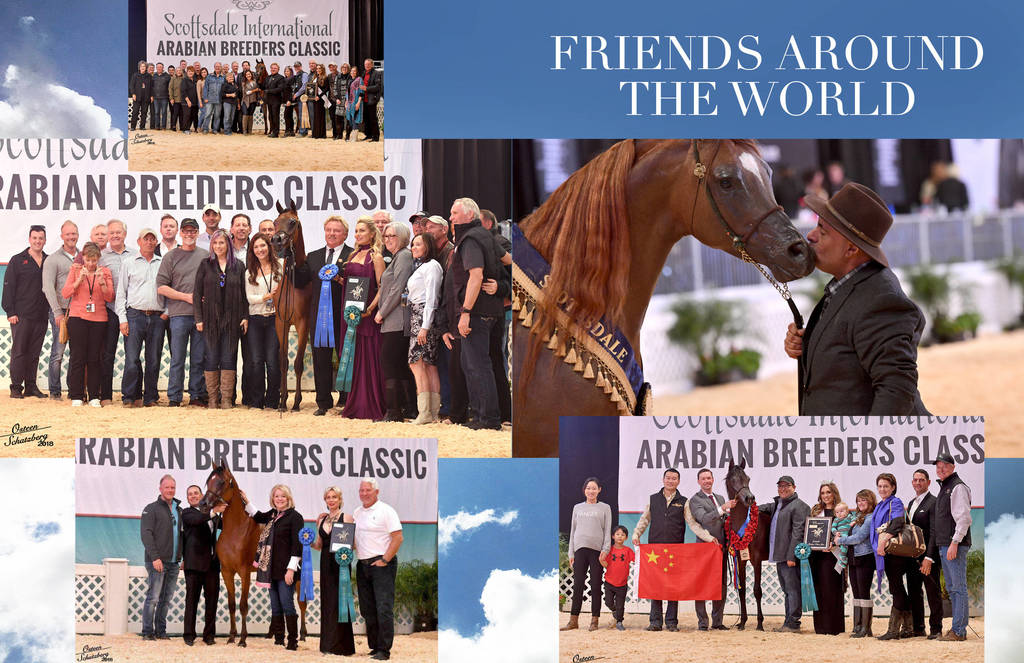 2018 Scottsdale Arabian Horse Show Photo Gallery