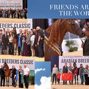 2018 Scottsdale Arabian Horse Show Photo Gallery