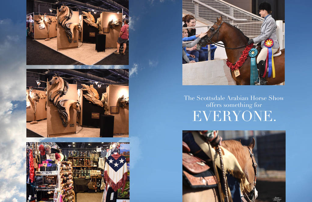 2018 Scottsdale Arabian Horse Show Photo Gallery