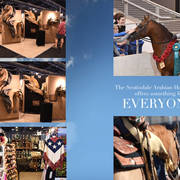 2018 Scottsdale Arabian Horse Show Photo Gallery