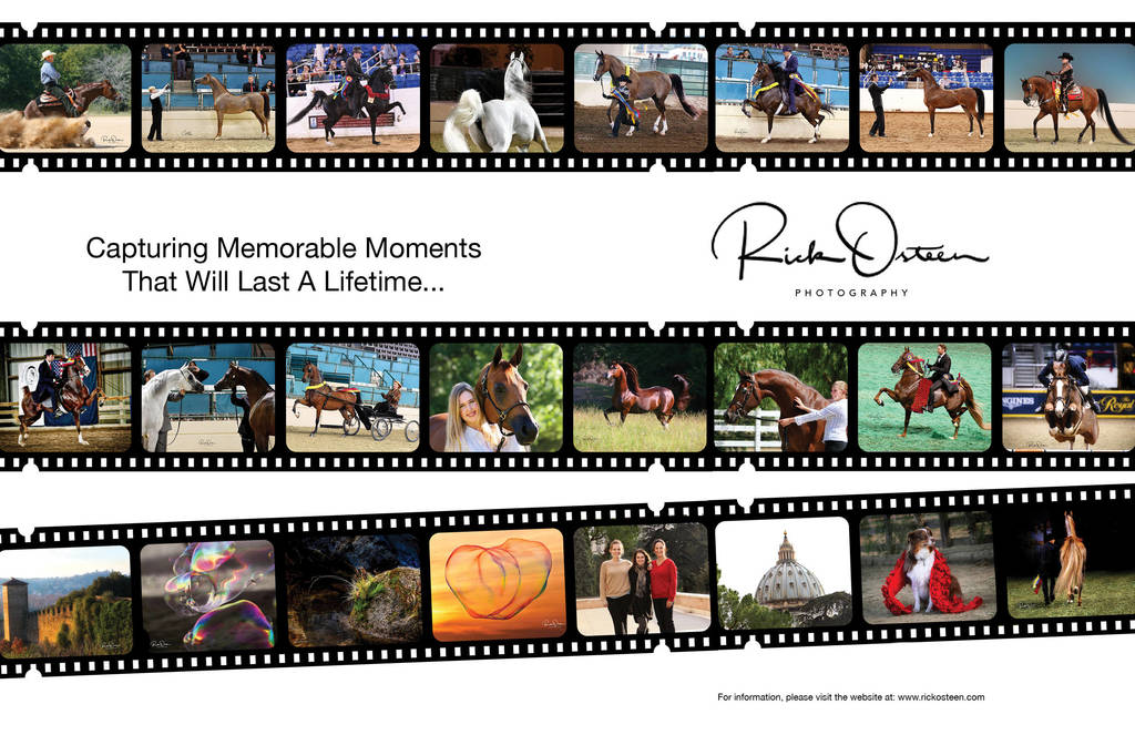 2018 Scottsdale Arabian Horse Show Photo Gallery