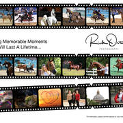 2018 Scottsdale Arabian Horse Show Photo Gallery