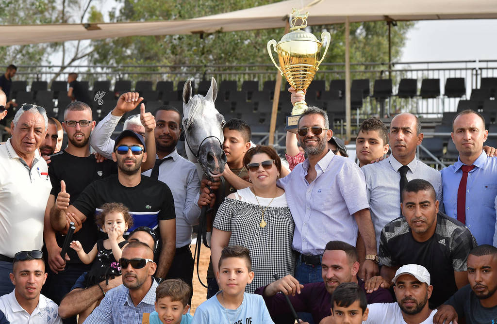 Senior Stallion Gold Champion: S.A. Al Zahir (Nader Al Jamal X Al Duqa AA)   