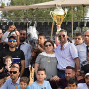 Senior Stallion Gold Champion: S.A. Al Zahir (Nader Al Jamal X Al Duqa AA)   