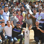 Senior Stallion Gold Champion: S.A. Al Zahir (Nader Al Jamal X Al Duqa AA)   
