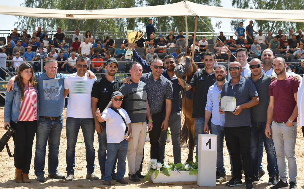 Senior Stallion Silver Champion: Ammer JFD (Solaz J X KL Aracelli)  
