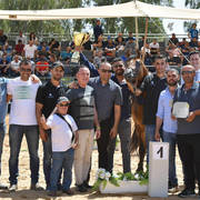 Senior Stallion Silver Champion: Ammer JFD (Solaz J X KL Aracelli)  
