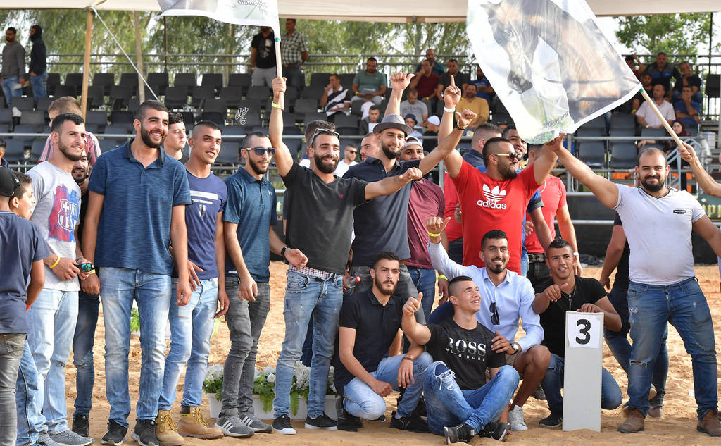 Senior Stallion Bronze Champion: Mastro Al Jamal (Selket Marque X Vivacious X)   