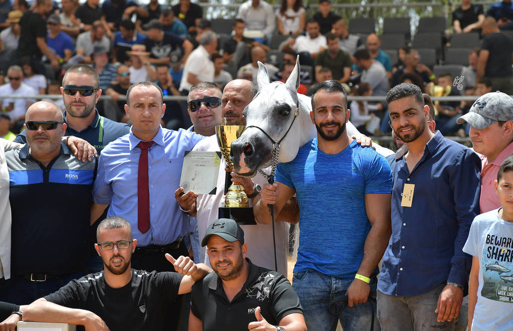 Senior Mare Gold Champion: Dibaj (Shabab Jamal X Nilus)   