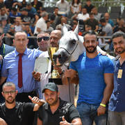 Senior Mare Gold Champion: Dibaj (Shabab Jamal X Nilus)   