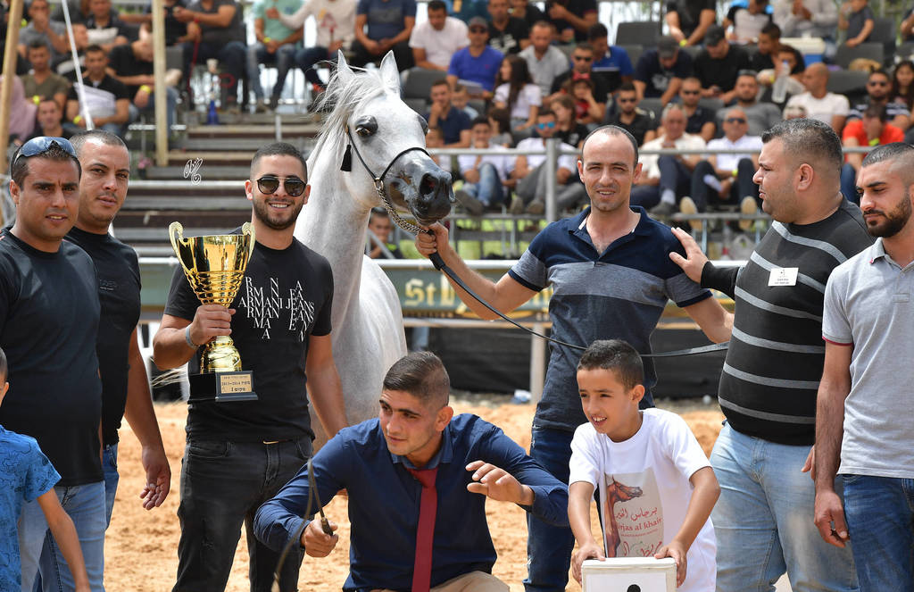 Senior Mare Silver Champion: Raya ST (Stival X GM Victoria)   