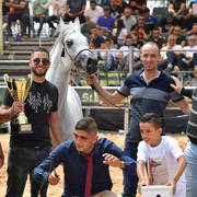 Senior Mare Silver Champion: Raya ST (Stival X GM Victoria)   