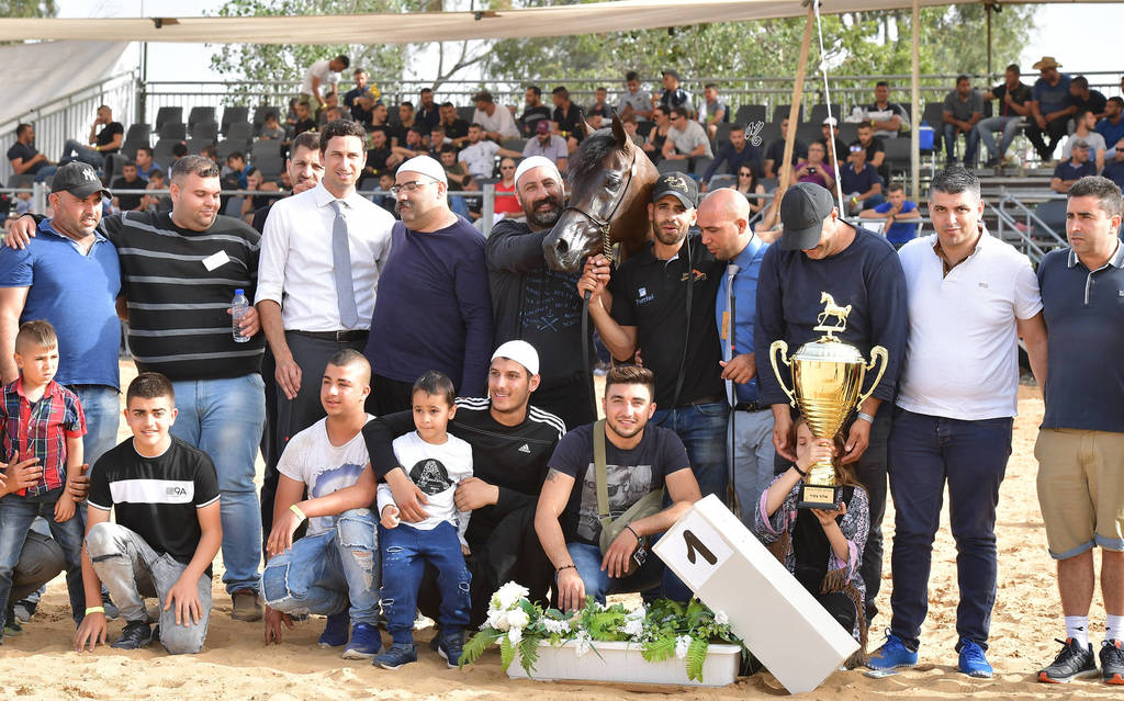 Junior Colt Gold Champion: Onaal Al Bashir (Gazal Al Shaqab X El Shayma)   