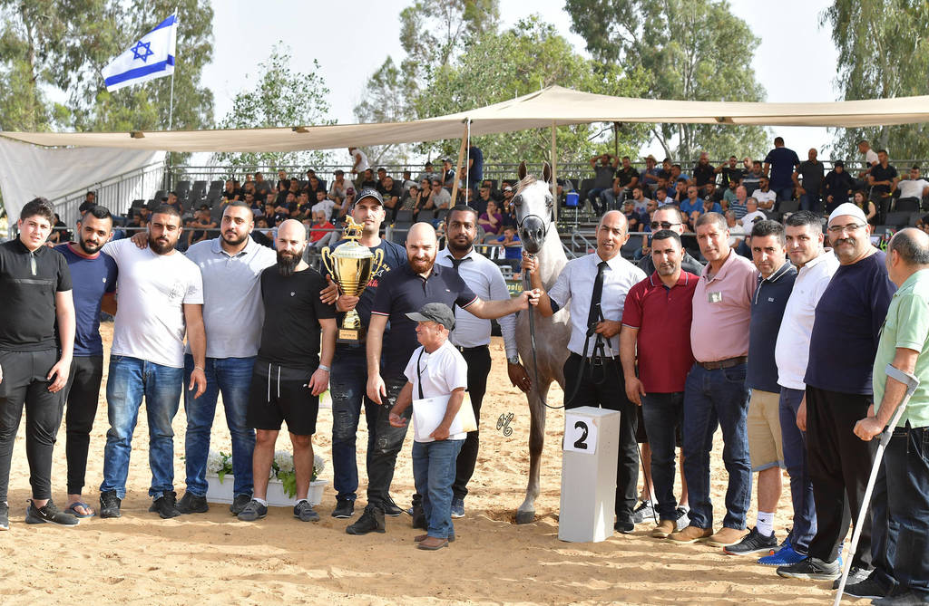 Junior Colt Silver Champion: Kaiaan RG (Zain Al Asayel X Gharam)  