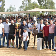 Junior Colt Silver Champion: Kaiaan RG (Zain Al Asayel X Gharam)  