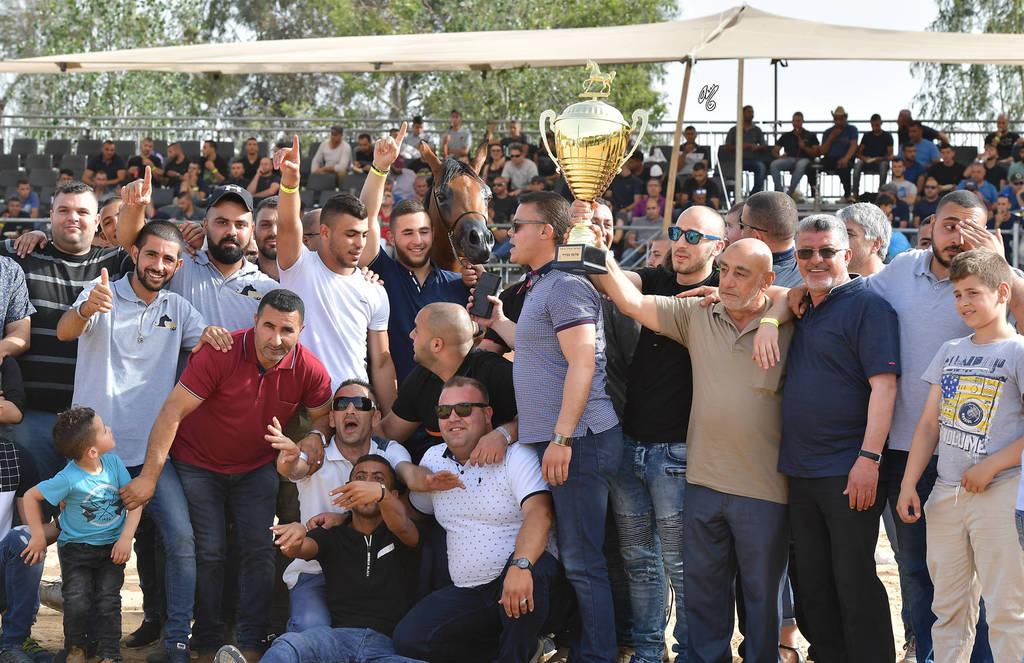 Junior Filly Gold Champion: M.M. Enya (RFI Farid X M.M. Eliana)   