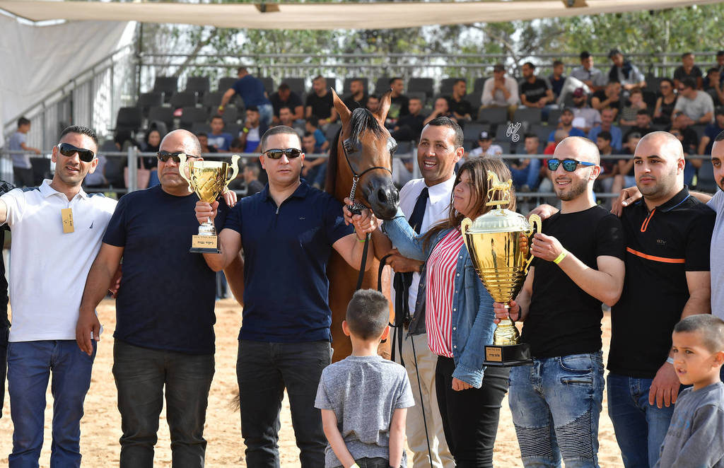 Junior Filly Gold Champion: M.M. Enya (RFI Farid X M.M. Eliana)   