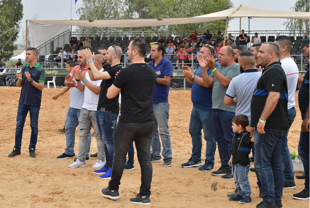 Junior Filly Gold Champion: M.M. Enya (RFI Farid X M.M. Eliana)   