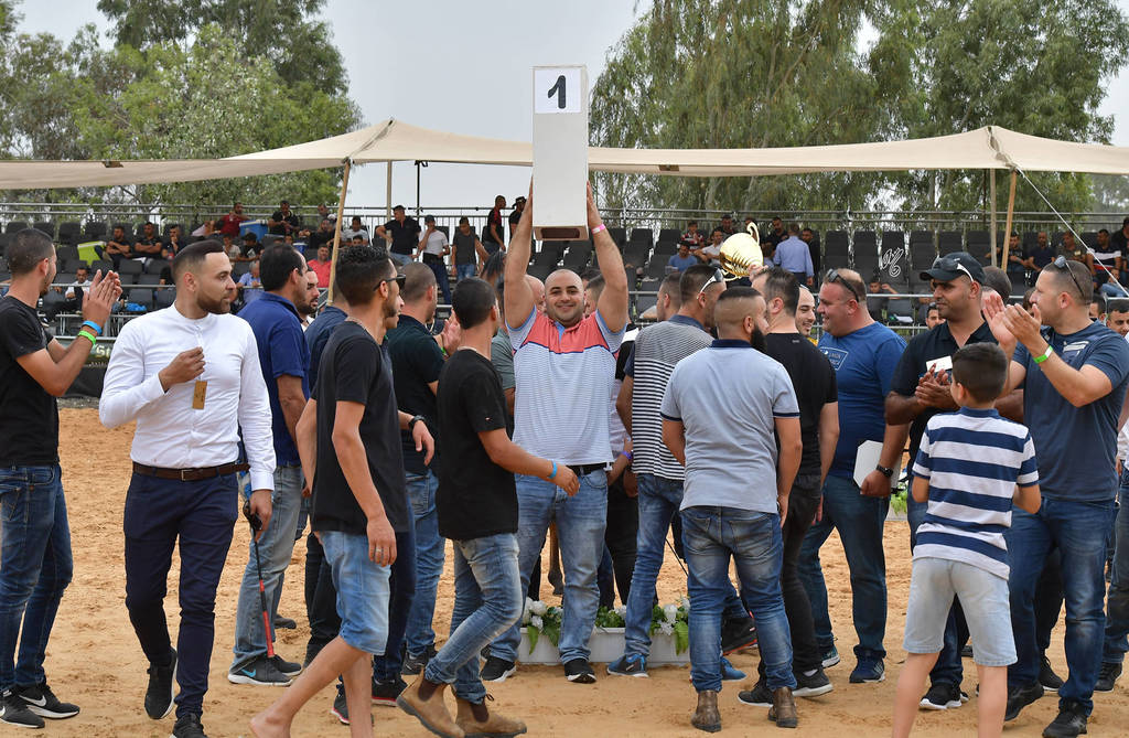 Junior Filly Gold Champion: M.M. Enya (RFI Farid X M.M. Eliana)   