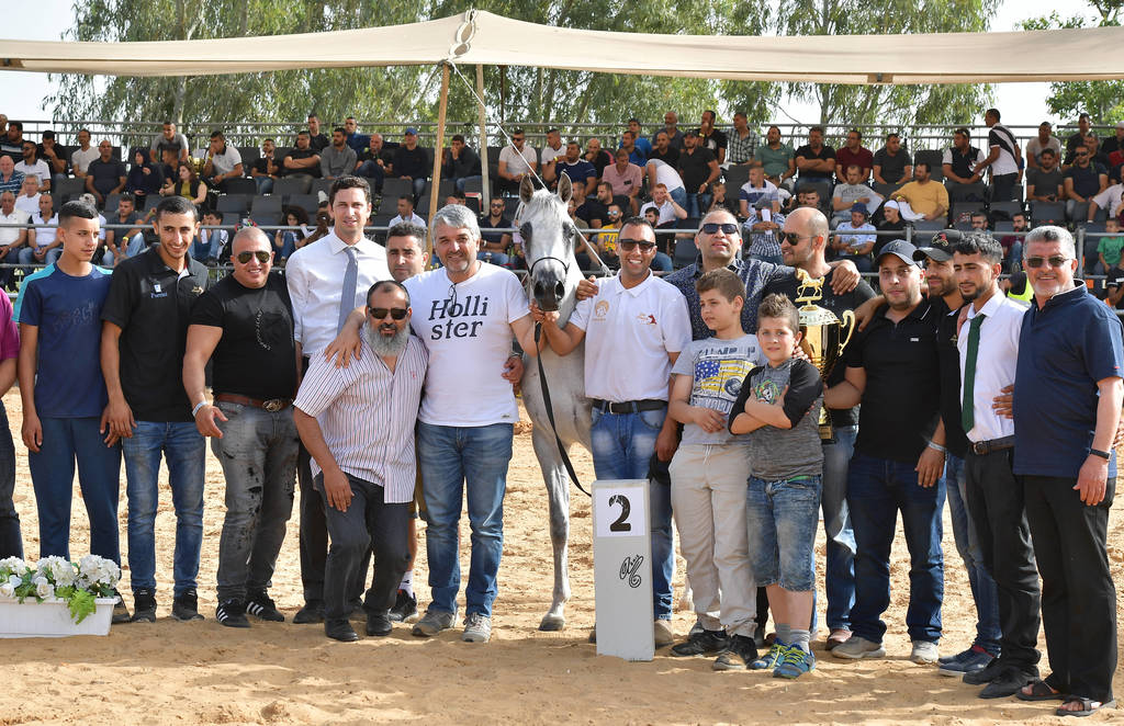 Junior Filly Silver Champion: Durra Al Ayal AA (Al ayal AA X Donya Jamal)  