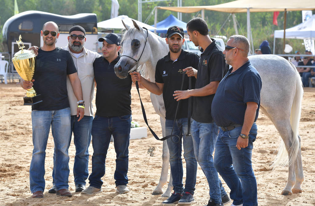 Junior Filly Silver Champion: Durra Al Ayal AA (Al ayal AA X Donya Jamal)  