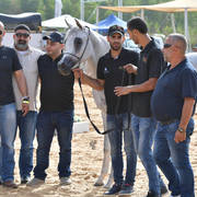 Junior Filly Silver Champion: Durra Al Ayal AA (Al ayal AA X Donya Jamal)  