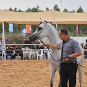 Junior Filly Bronze Champion: Al Johara (LF Al Saher X Sabriya YA)  