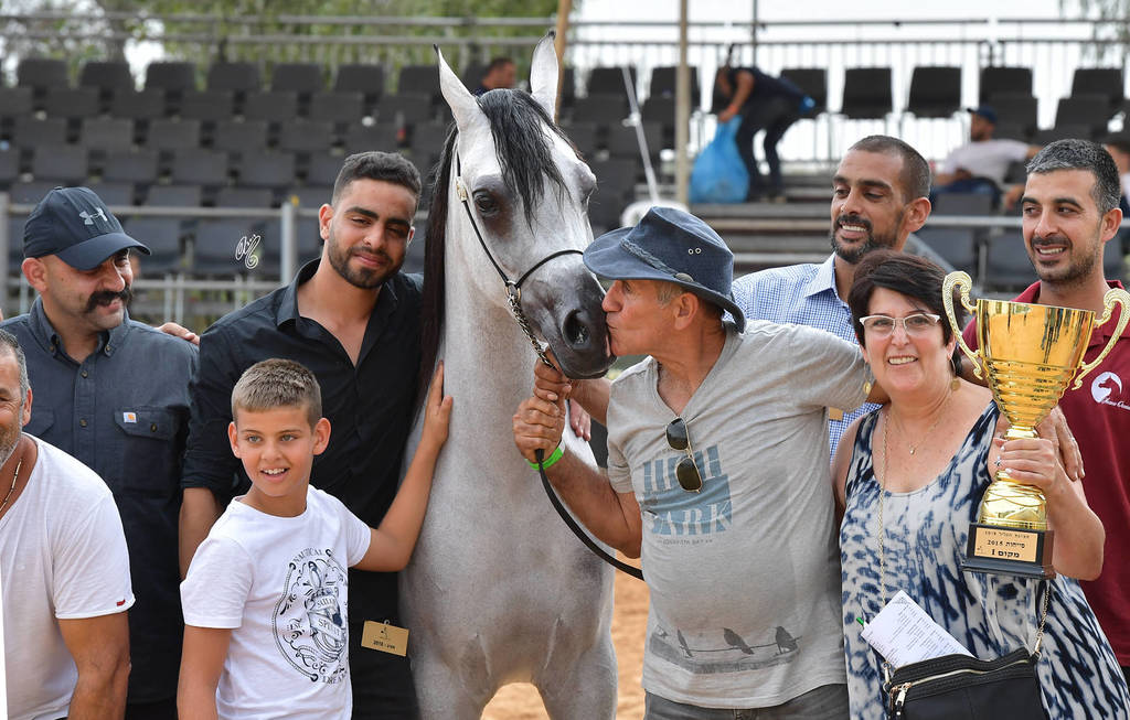 Junior Filly Bronze Champion: Al Johara (LF Al Saher X Sabriya YA)  