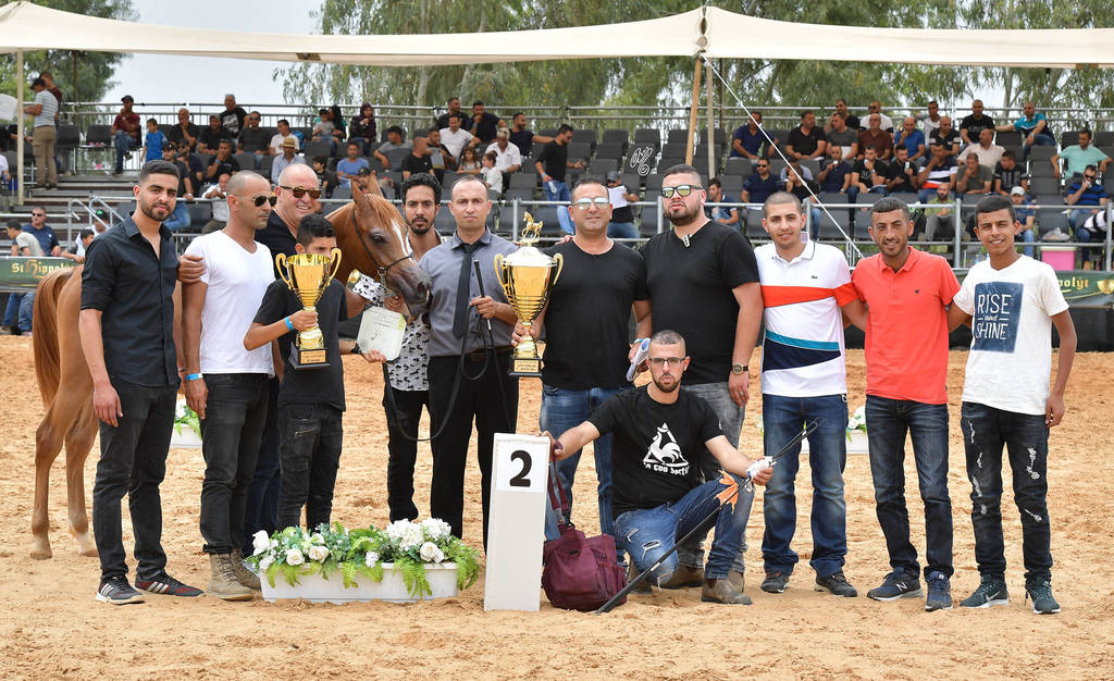 Yearling Colt Silver Champion: Ajid (AA Aluf X PA Aida)  