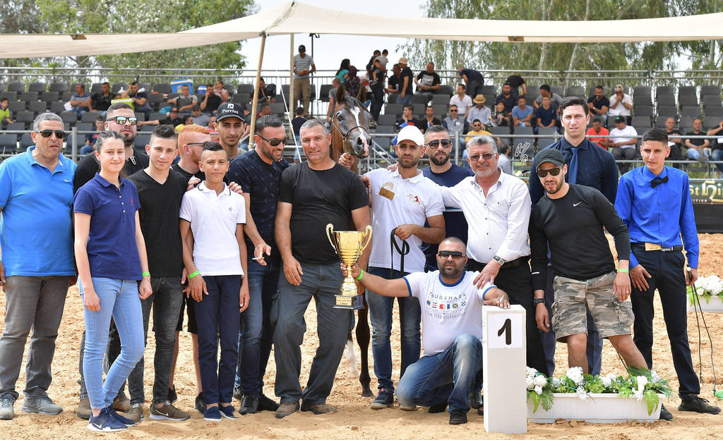 Yearling Colt Bronze Champion: Quamar Elain By Bri (Emerald J X Chanel By Bri)   