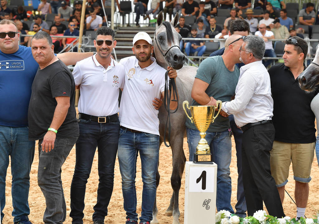 Yearling Filly Gold Champion: Lulu AA (Marwan Al Shaqab X Labibah AA)   