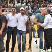 Yearling Filly Gold Champion: Lulu AA (Marwan Al Shaqab X Labibah AA)   