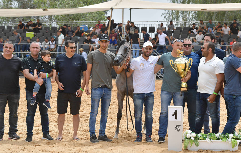 Yearling Filly Gold Champion: Lulu AA (Marwan Al Shaqab X Labibah AA)   