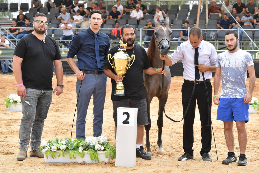 Yearling Filly Silver Champion: Shiraaz AZ (Fadi Al Shaqab X Siwar AZ)   