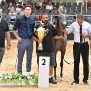 Yearling Filly Silver Champion: Shiraaz AZ (Fadi Al Shaqab X Siwar AZ)   