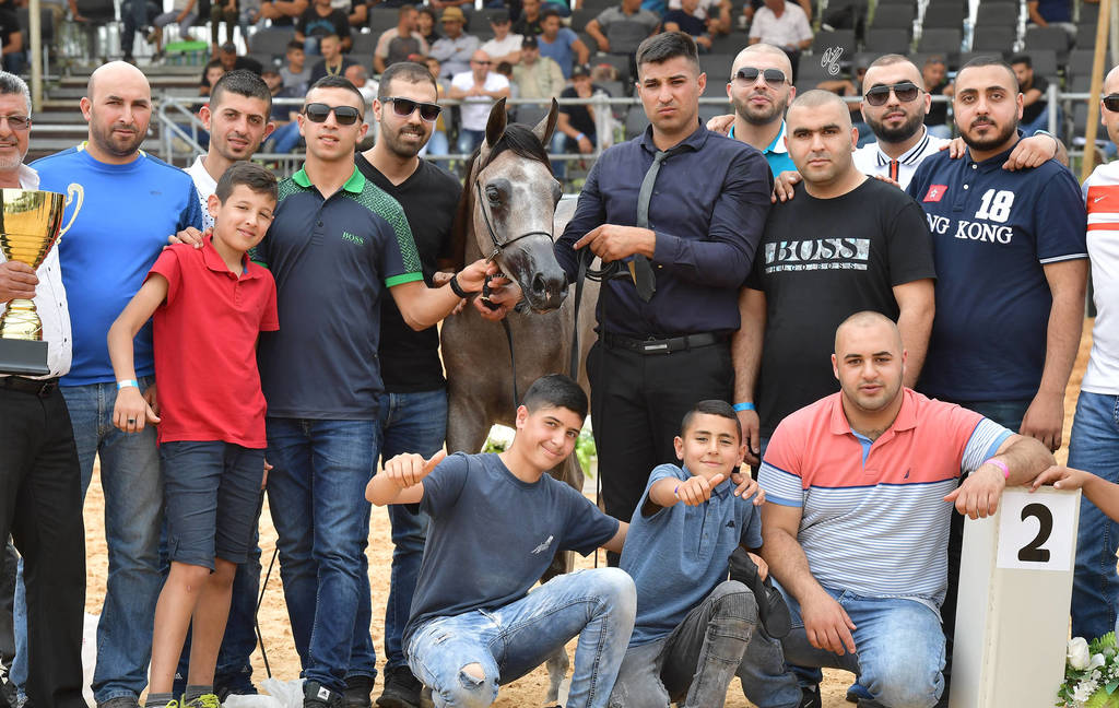 Yearling Filly Bronze Champion: Sultanat Al Tarab (Fadi Al Shaqab X Nasrina GI)   