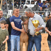 Foal Colt Silver Champion: Sultan Ben Naborr (Naborr BP X Amira Al Tatur)  