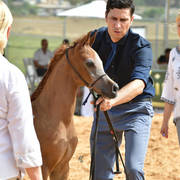 Foal Filly Gold Champion: Hala Al Hasan (TH Hamza X Heelim JFD)   