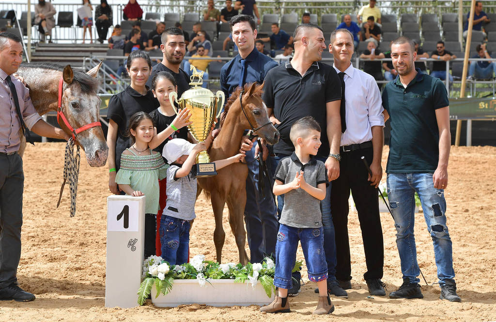 Foal Filly Gold Champion: Hala Al Hasan (TH Hamza X Heelim JFD)   