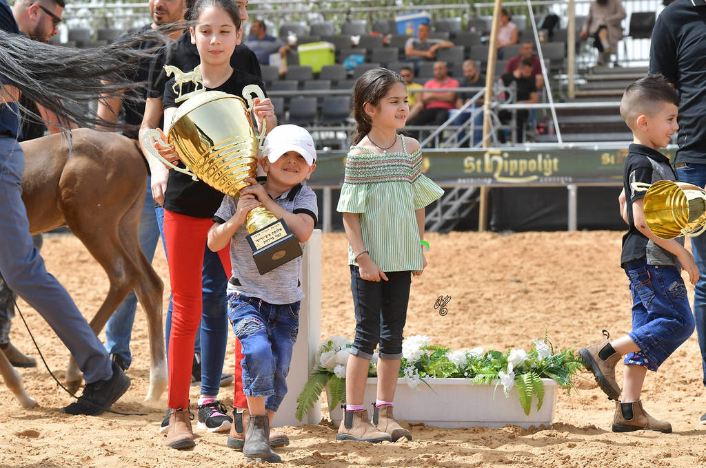 Foal Filly Gold Champion: Hala Al Hasan (TH Hamza X Heelim JFD)   