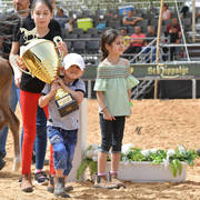 Foal Filly Gold Champion: Hala Al Hasan (TH Hamza X Heelim JFD)   
