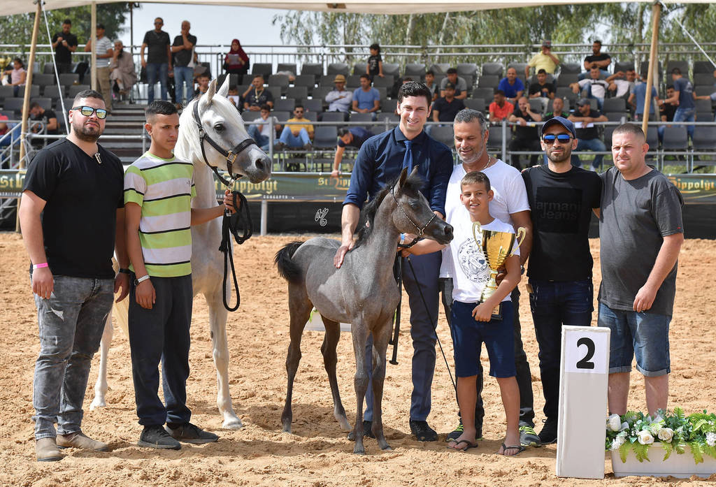 Foal Filly Silver Champion: Enigma (The Millenium Star X Nadira Solaz)   