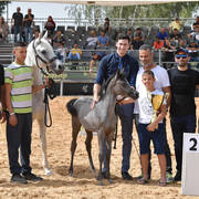 Foal Filly Silver Champion: Enigma (The Millenium Star X Nadira Solaz)   