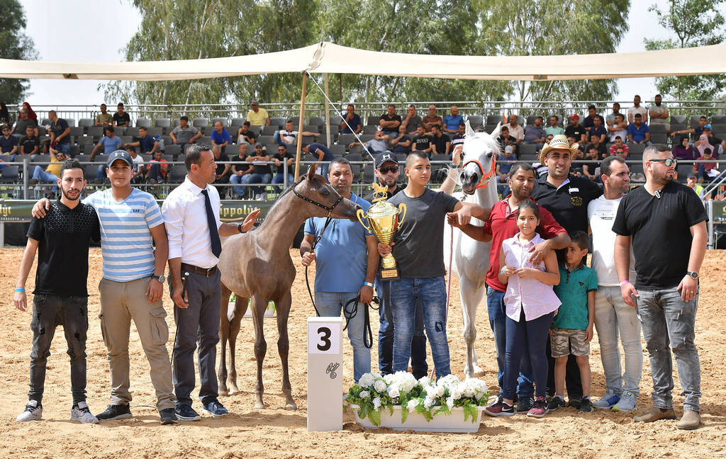 Foal Filly Bronze Champion: Alehandrah H.B. (EKS Alihandro X Jana Hamzi)  