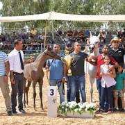 Foal Filly Bronze Champion: Alehandrah H.B. (EKS Alihandro X Jana Hamzi)  