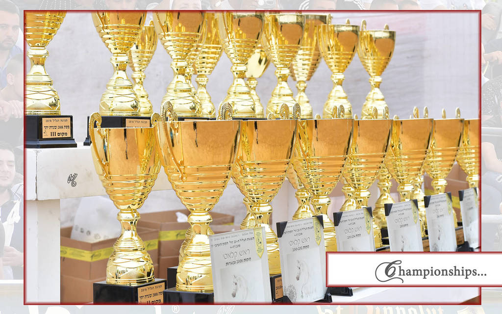 Lisa Abraham: The 2018 Galilee Show Photo Gallery