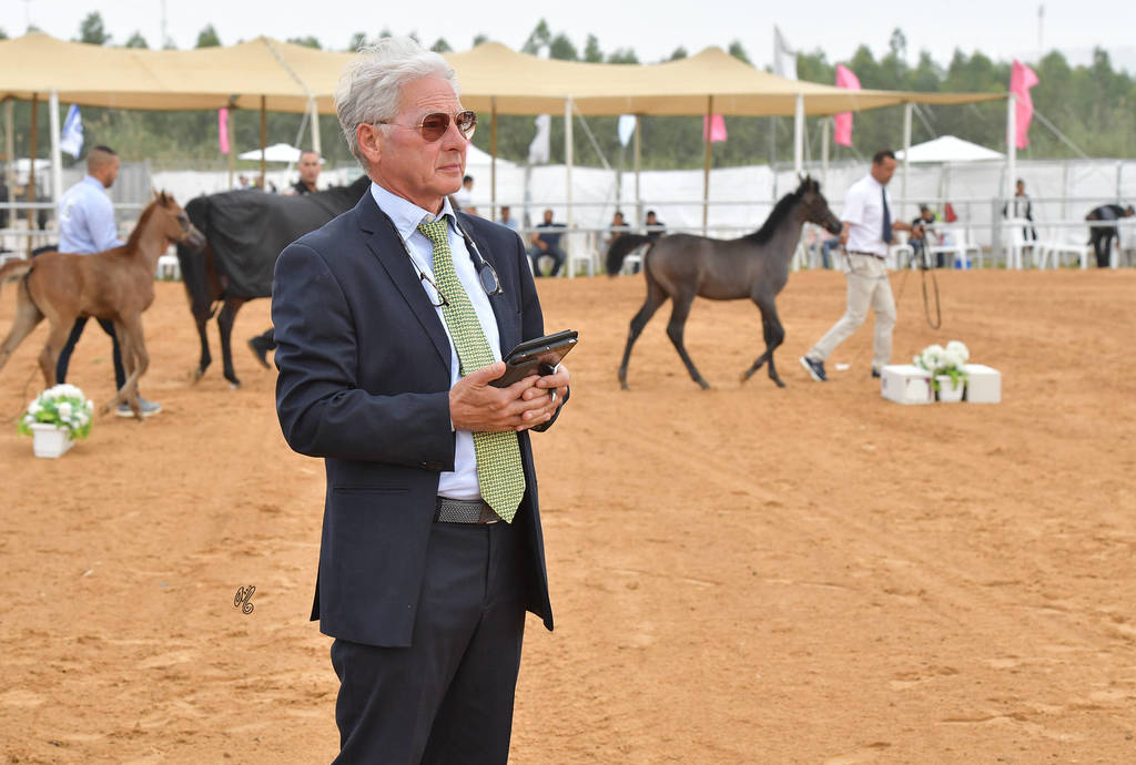 Judge Faustino Scanzi 