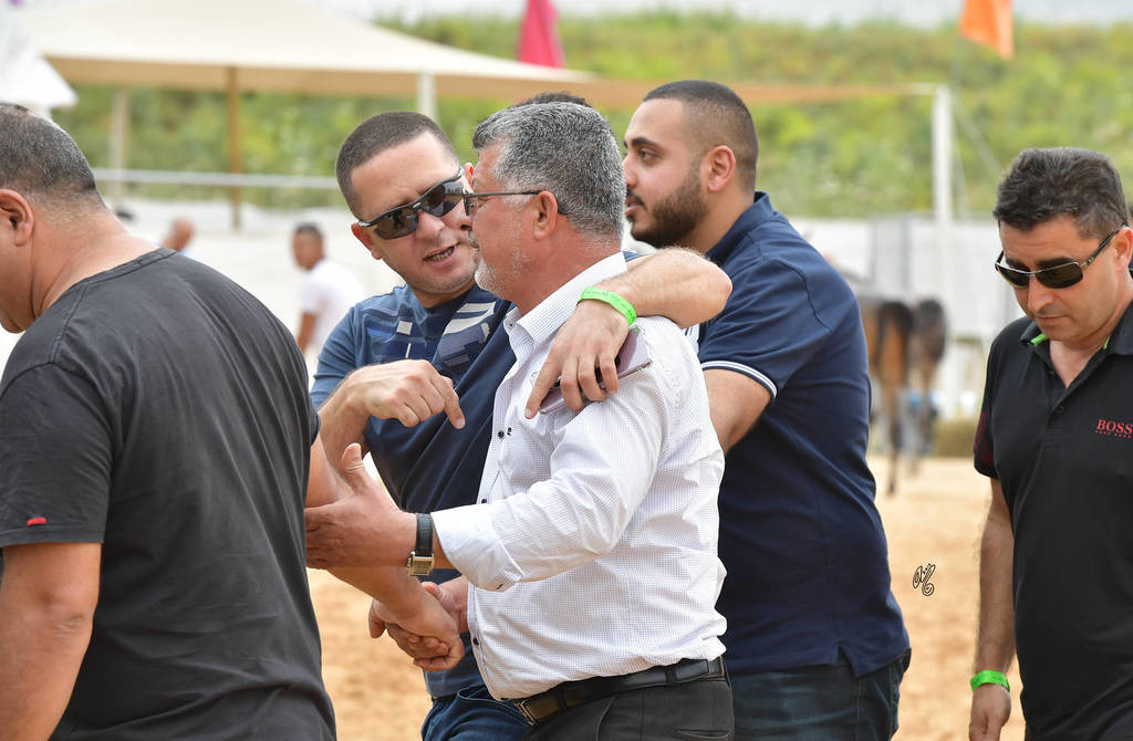 Lisa Abraham: The 2018 Galilee Show Photo Gallery