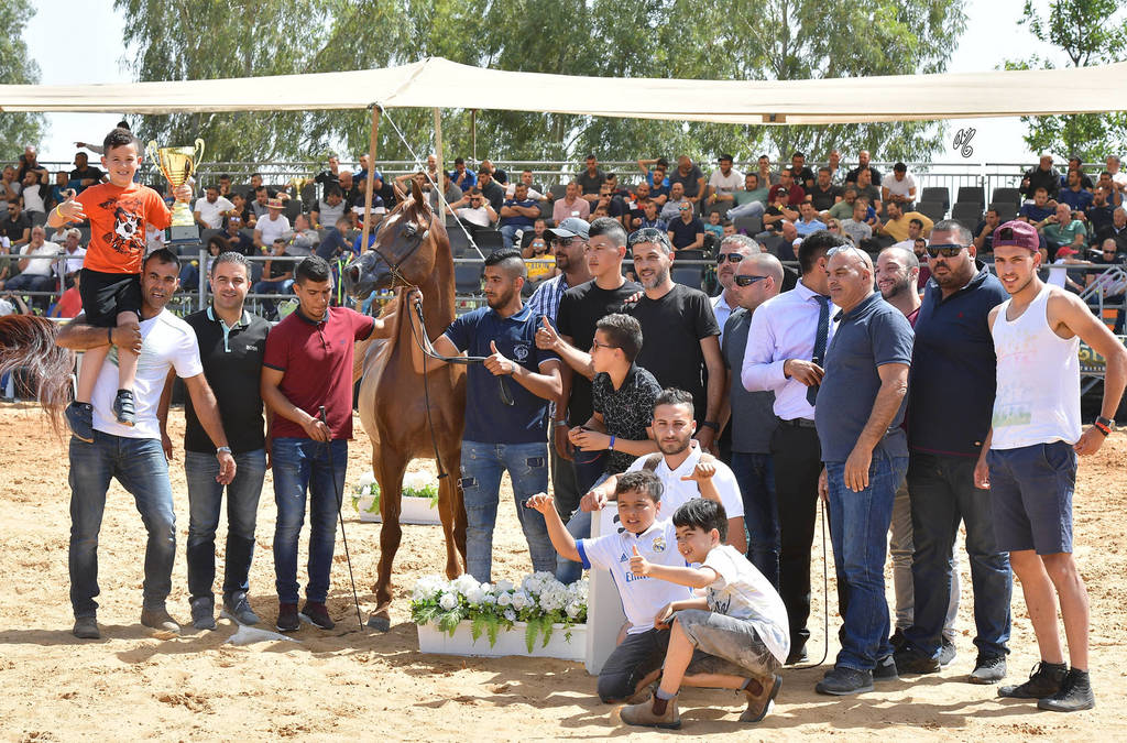 Stallions 6-8 Years: Aslam Basha