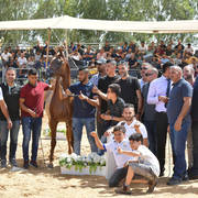 Stallions 6-8 Years: Aslam Basha